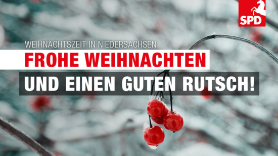 020 11 2 website weihanchten gugs